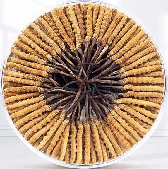 伊宁县冬虫夏草回收